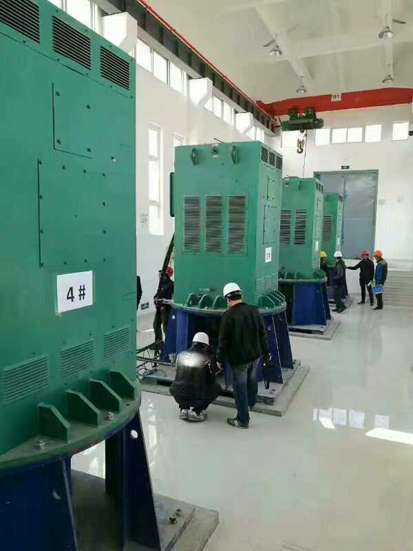 重兴镇某污水处理厂使用我厂的立式高压电机安装现场生产厂家
